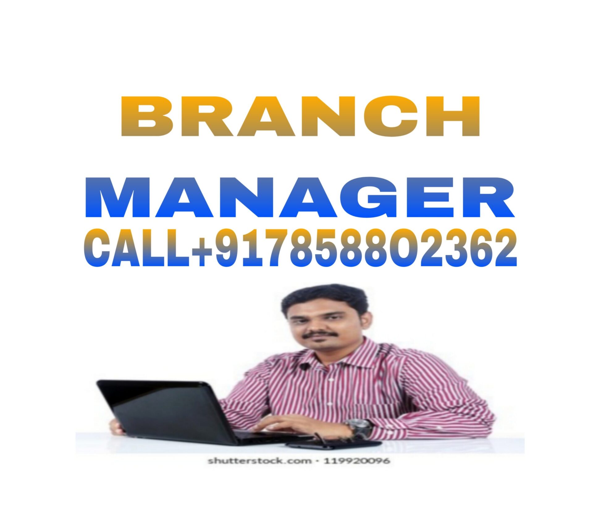 All Type Branch Manager Executive You